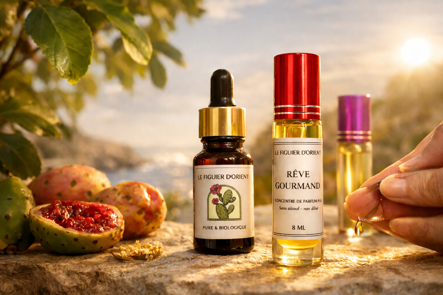 Huile de pépins de figue de barbarie et muscs parfumés Le Figuier d’Orient dans un décor méditerranéen naturel