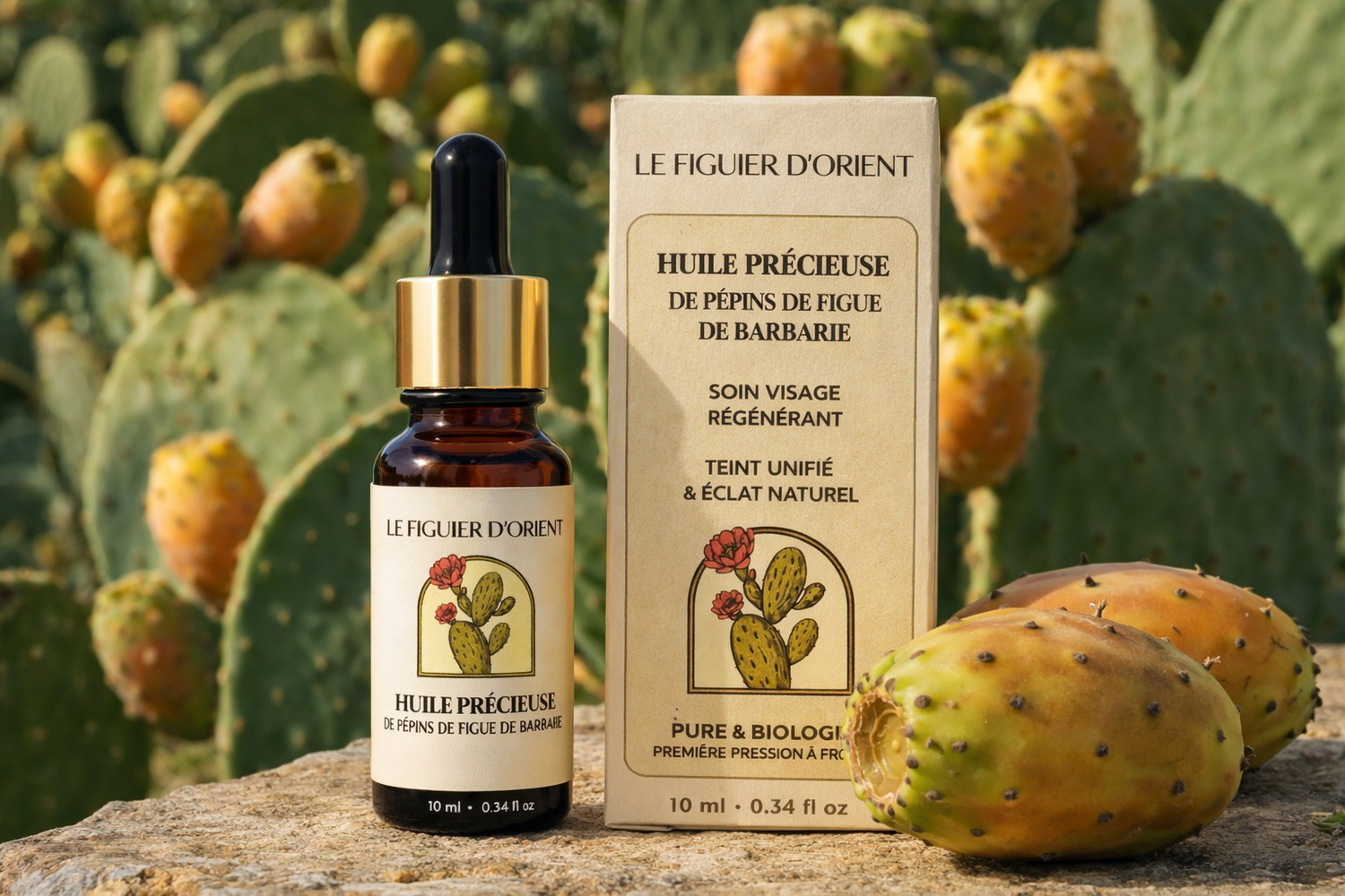 Flacon d’huile précieuse de pépins de figue de barbarie bio Le Figuier d’Orient avec son emballage dans un décor naturel de cactus et fruits de figue de barbarie.